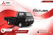 NEW COLT L300